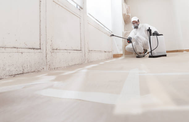 24/7 Emergency Crawl Space Mold Removal experts in Woodstock, VA